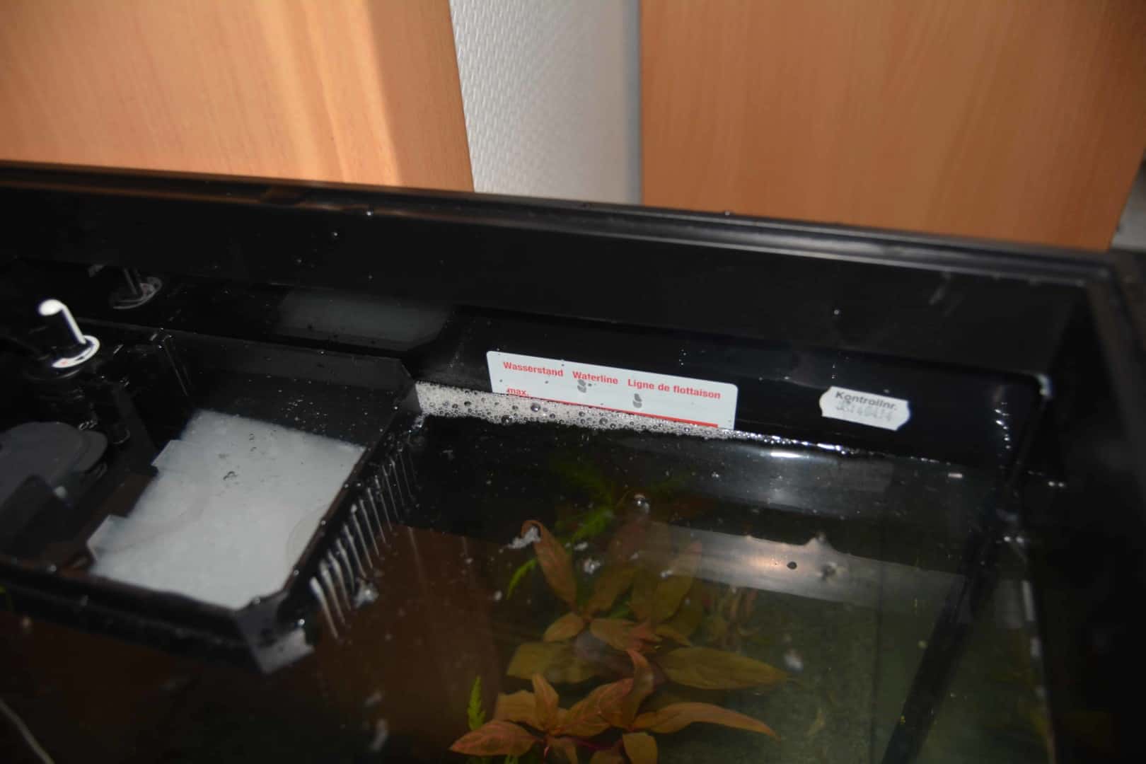 Bis zum Rand mit Wasser gefülltes Aquarium von oben mit Filterkammer, randvoll wird so ein Becken sehr schwer.