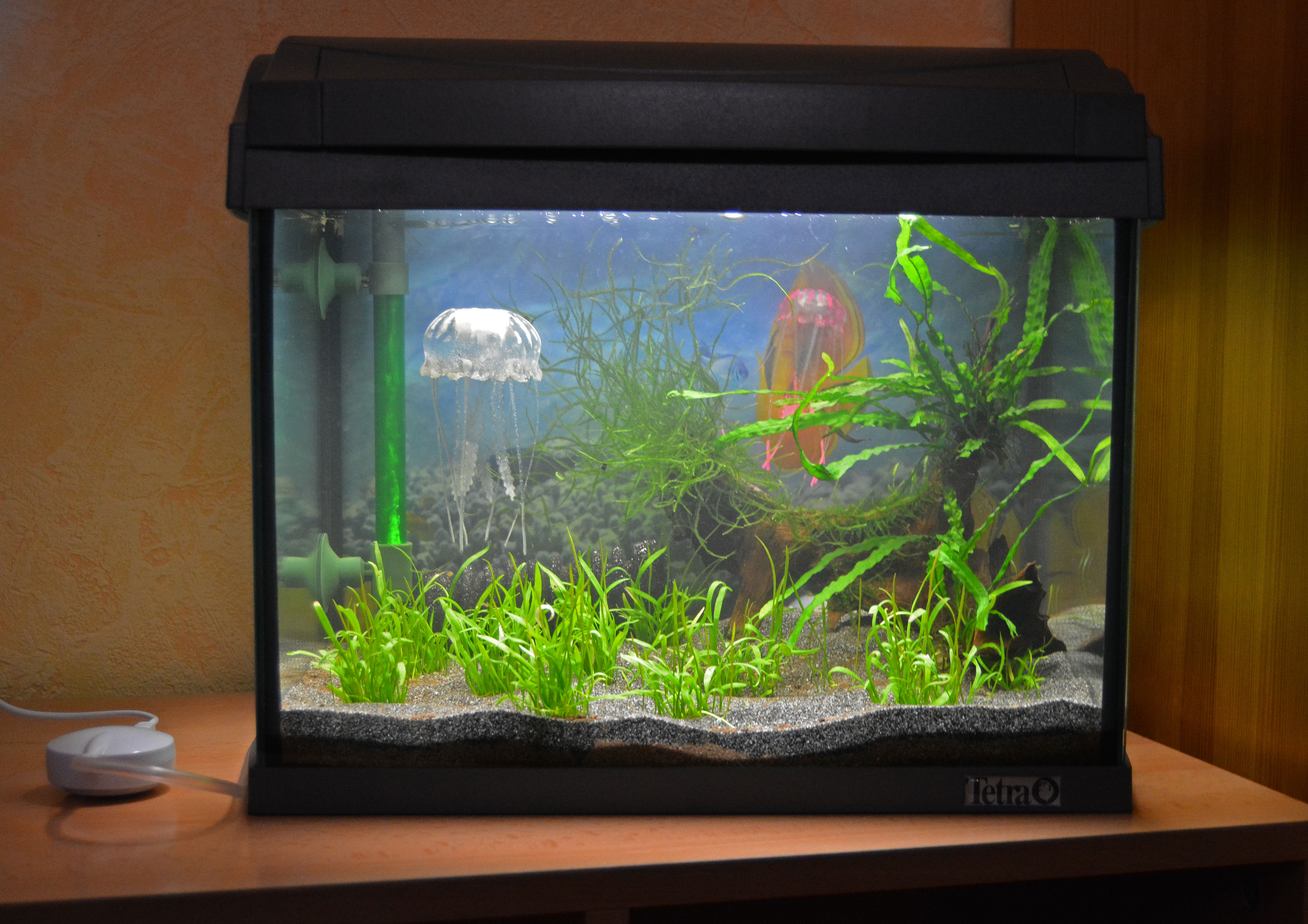 Aquarium einrichten Schritt für Schritt mit Einkaufsliste - my-fish