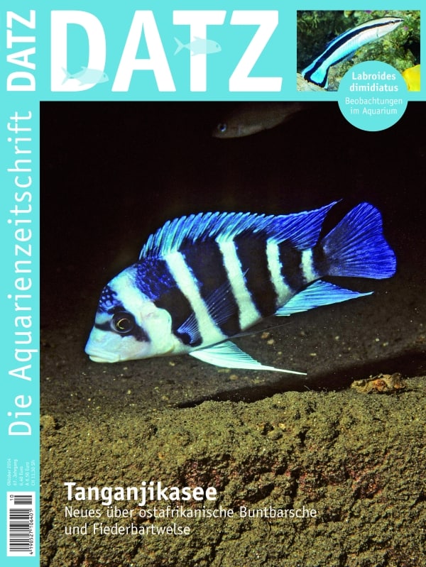 cover-2014-10