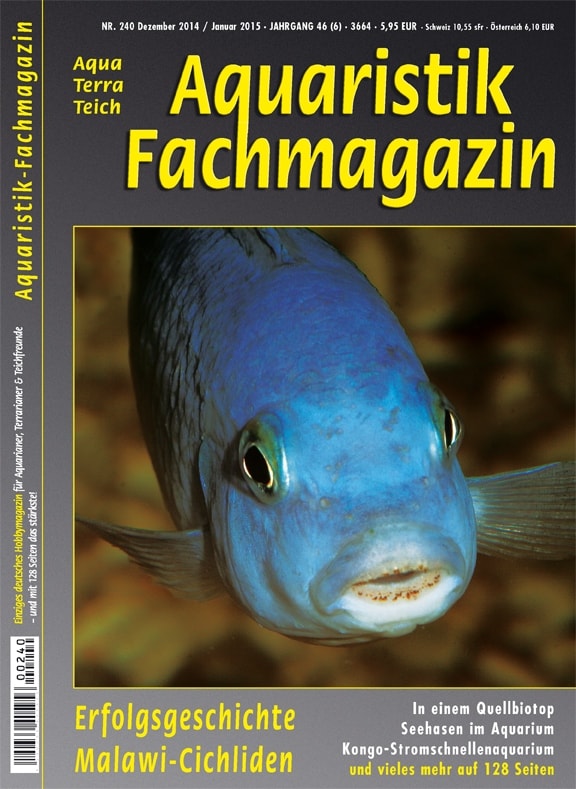 Titelthema: Erfolgsgeschichte Malawi-Cichliden – Aquaristik-Fachmagazin – Ausgabe 239 (Dez./Jan. 2015) ist erschienen