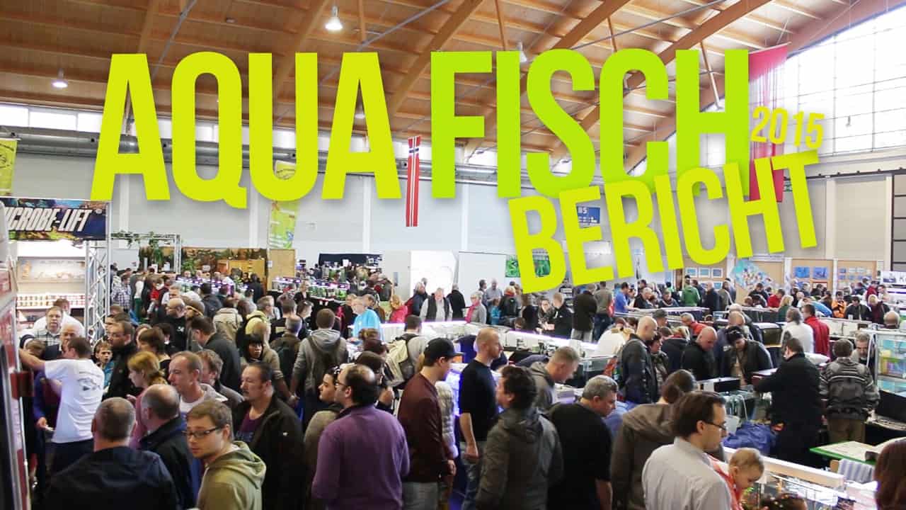 AQUA-Fisch Friedrichshafen (Video Nachbericht)