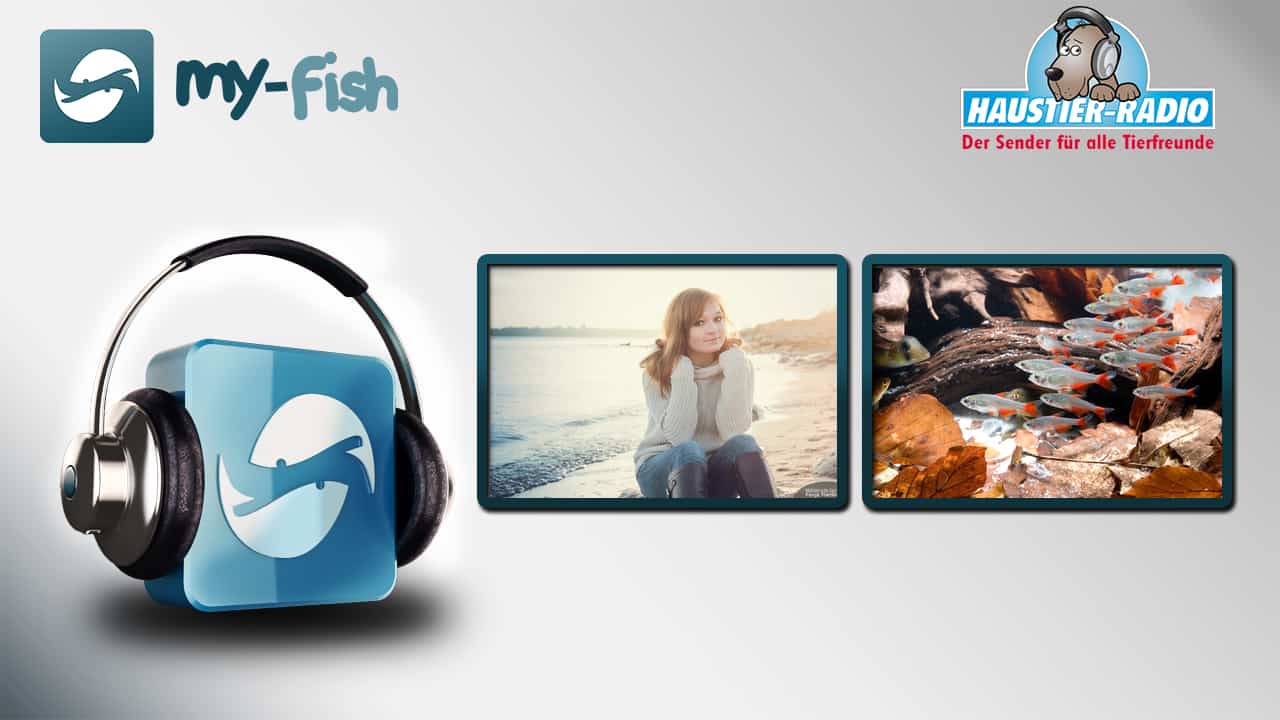 my-fish Radio: Aquarienfotografie - Lerne wie Fenja Fische zu fotografieren (Fenja Hardel - Das Mädchen aufm Dach)