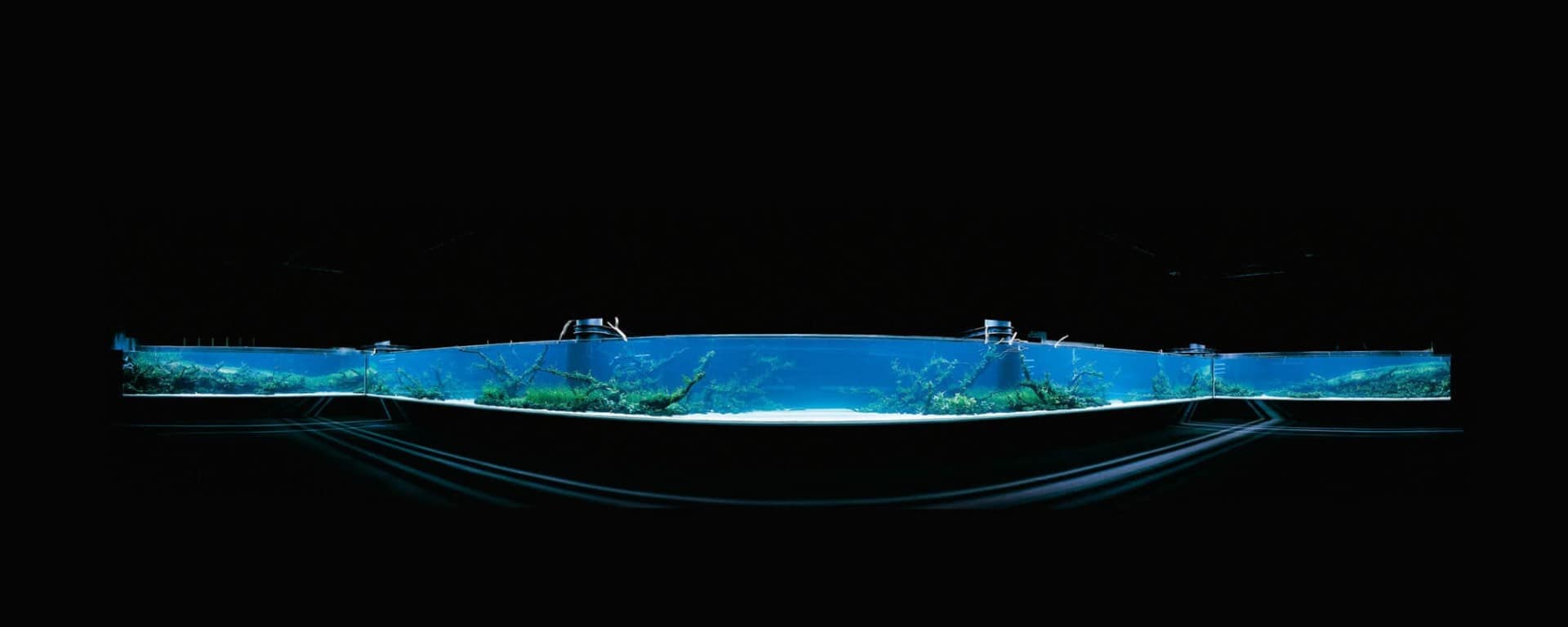 Forests Underwater von Takashi Amano im Oceanário de Lisboa