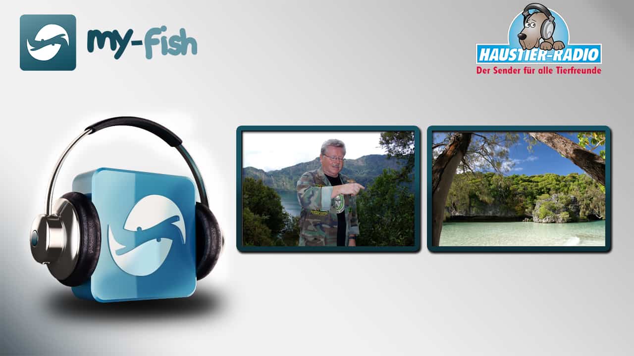 my-fish Radio: In 56 Jahren vom Tümpel zum Aquarianer und Terrarianer (Roland Zobel)