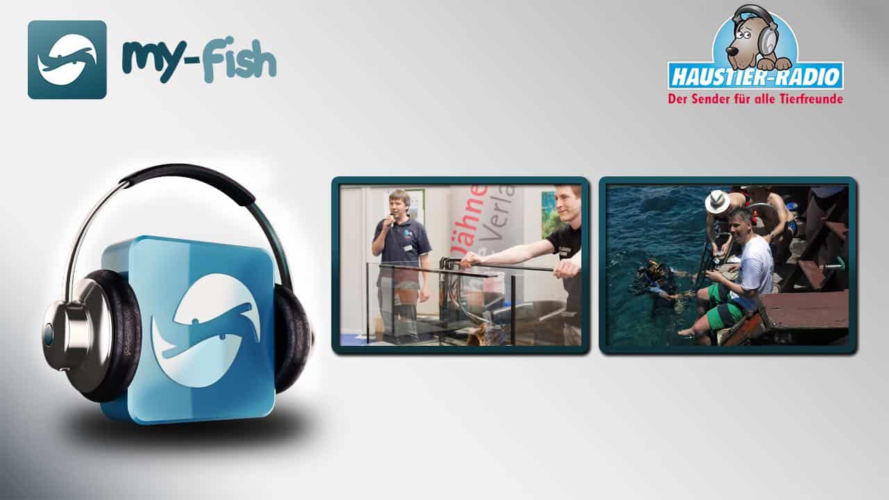 my-fish Radio: Aquarianer und Aquariumbesitzer - Der Unterschied (Philipp Gardemin)