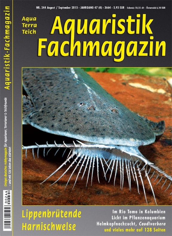 Titelthema: Lippenbrütende Harnischwelse - Aquaristik-Fachmagazin – Ausgabe 244 (Aug/Sep 2015) ist erschienen
