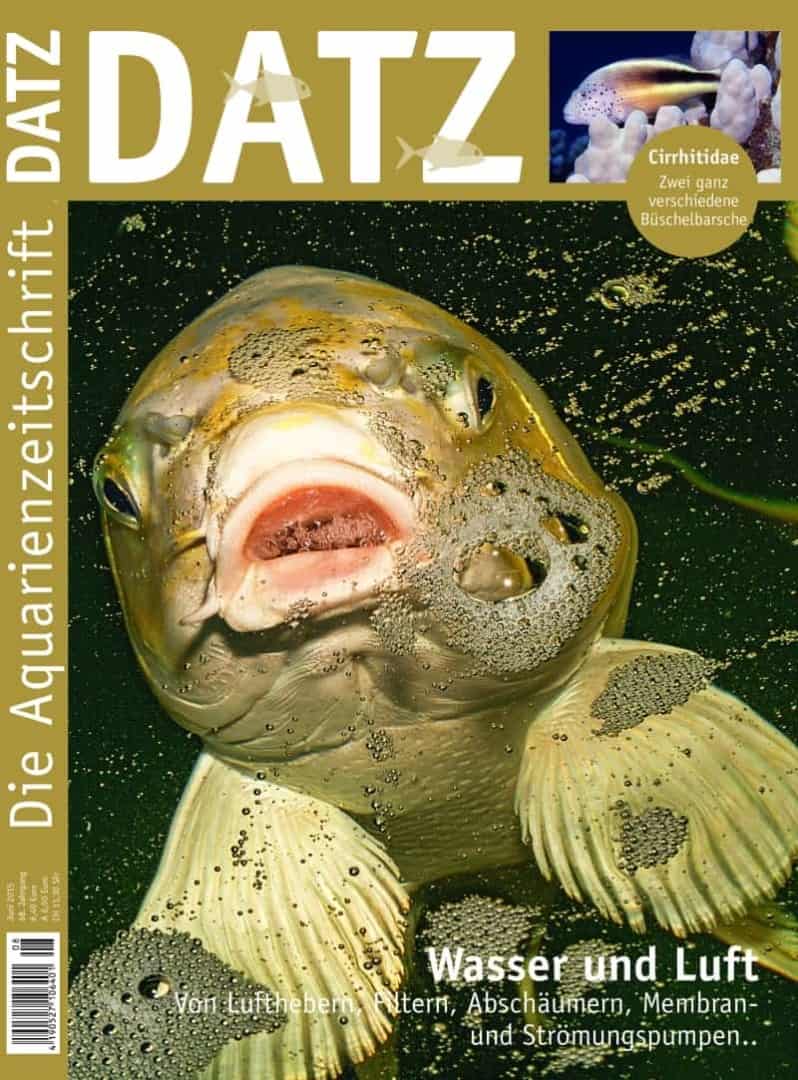 DATZ 8/2015 – Vorschau