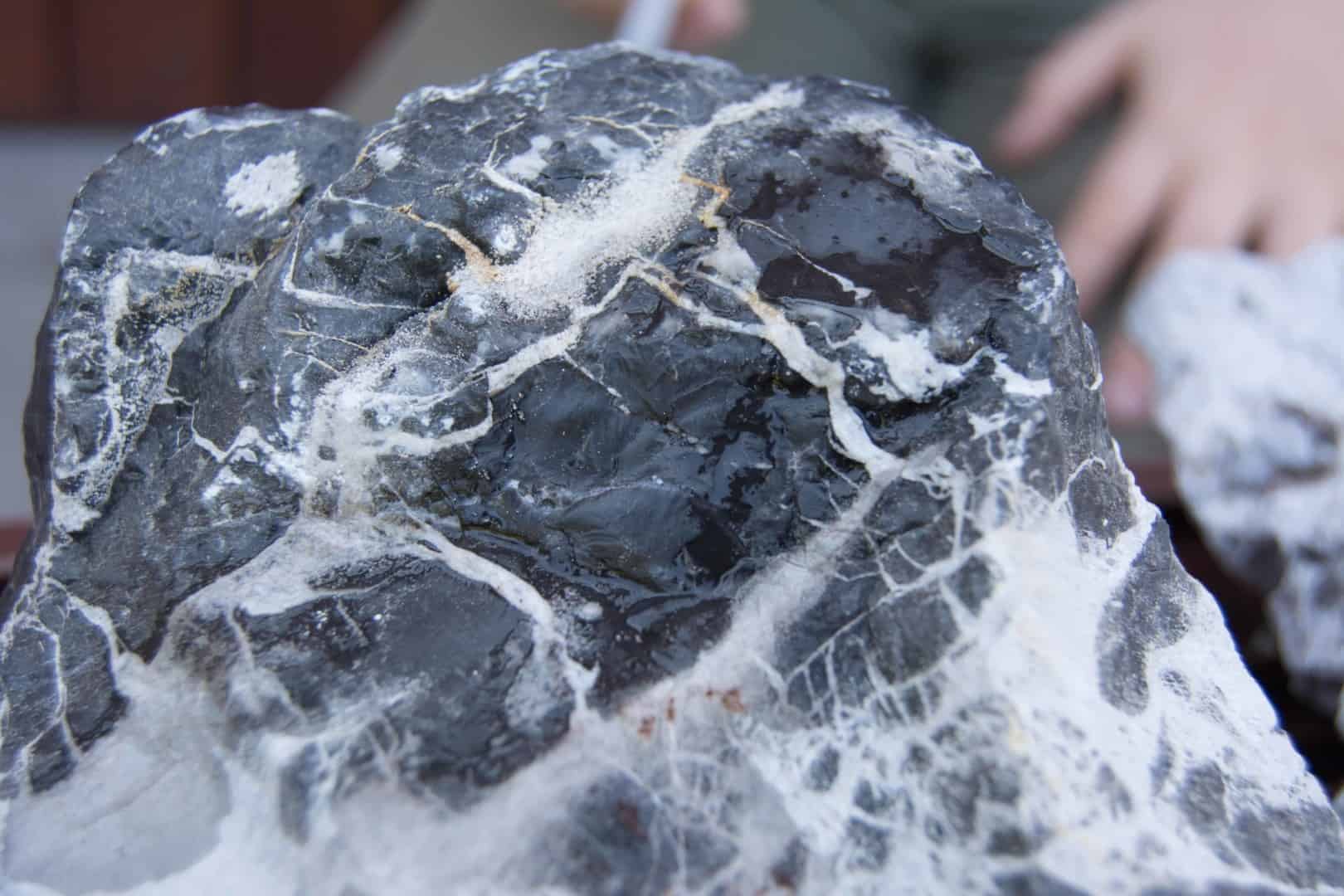 DSC 0113 Nahaufnahme des nassen, schwarz-weiß geäderten Steins nach dem Beträufeln, gesucht wird nach Bläschen durch Kalk.