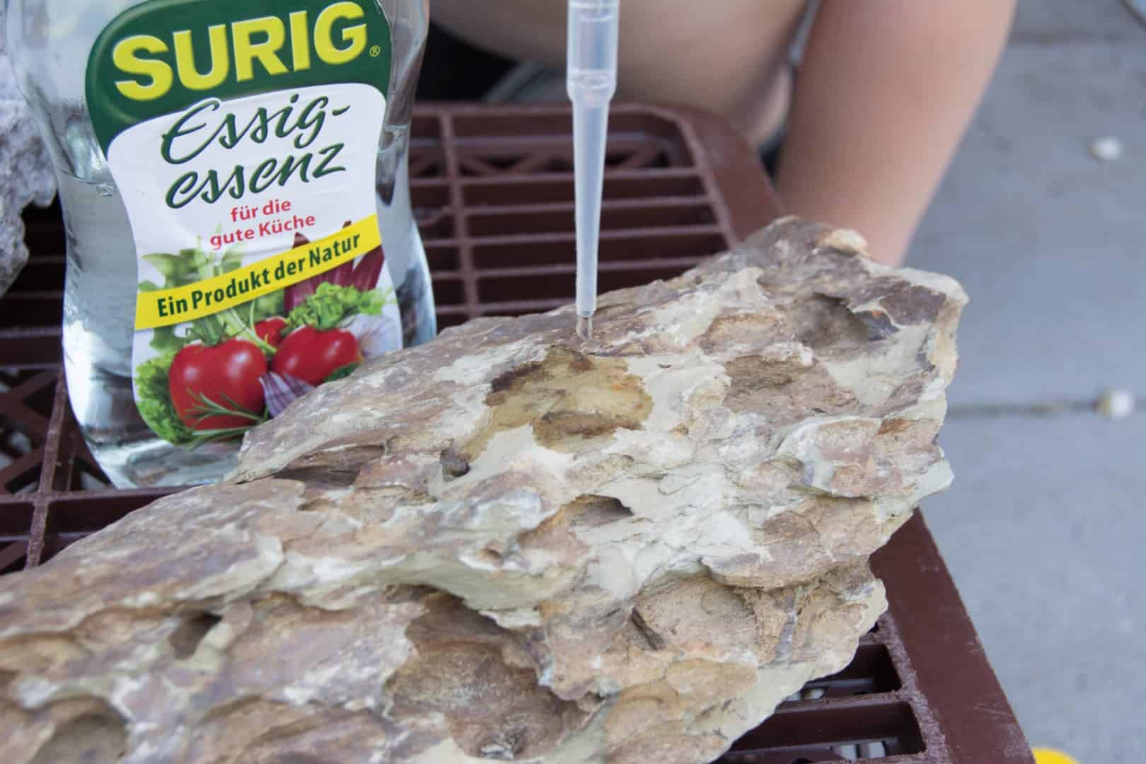 DSC 0129 Pipette setzt in Nahaufnahme einen Tropfen Essigessenz auf den beige-braunen Stein, Bläschen würden Kalk verraten.