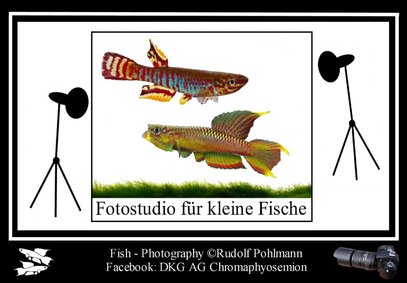 00-Fotostudio-Bild-1