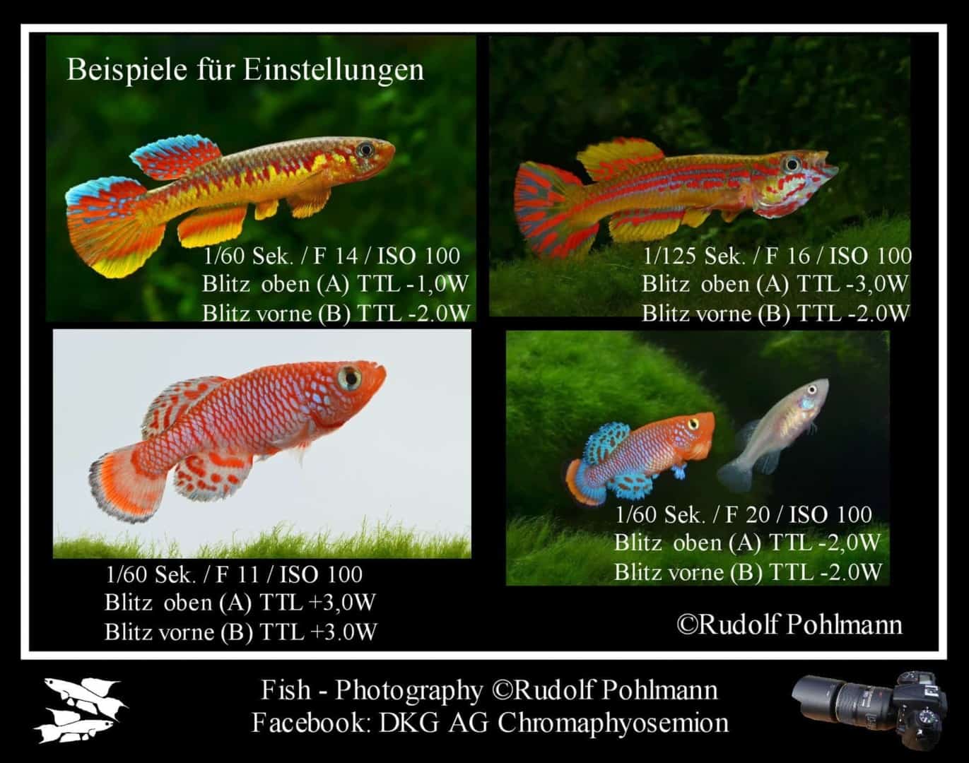 08-Beispiele-Einstellungen