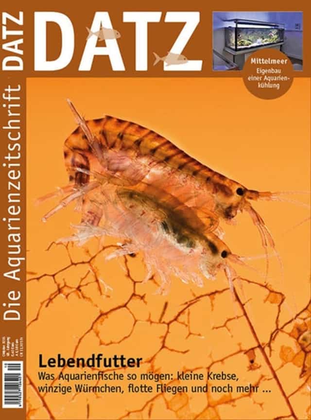 DATZ 10/2015 im Abo und unter www.datz.de