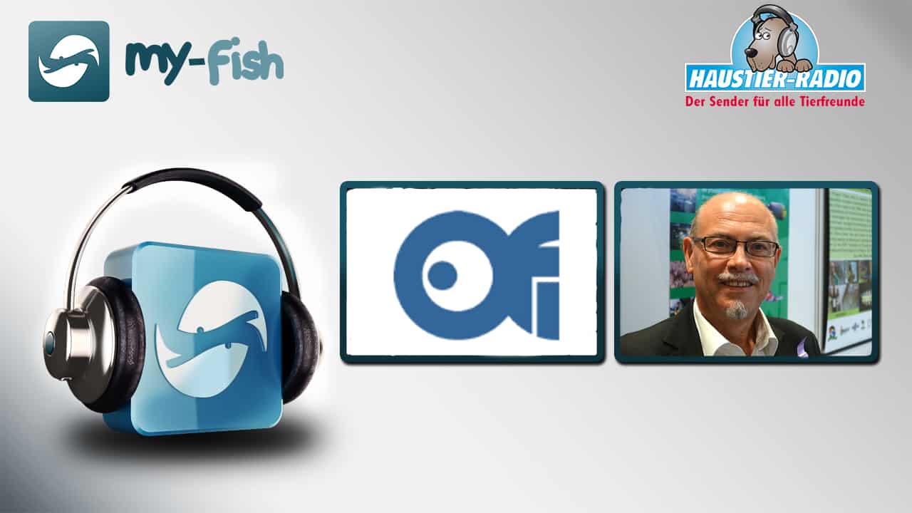 my-fish Radio: Der internationale Handel mit Zierfischen (O.F.I. Präsident Gerald Bassleer)