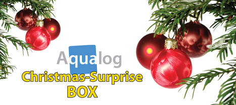 Christmas-Surprise Box - noch bis zum 30.11. zuschlagen