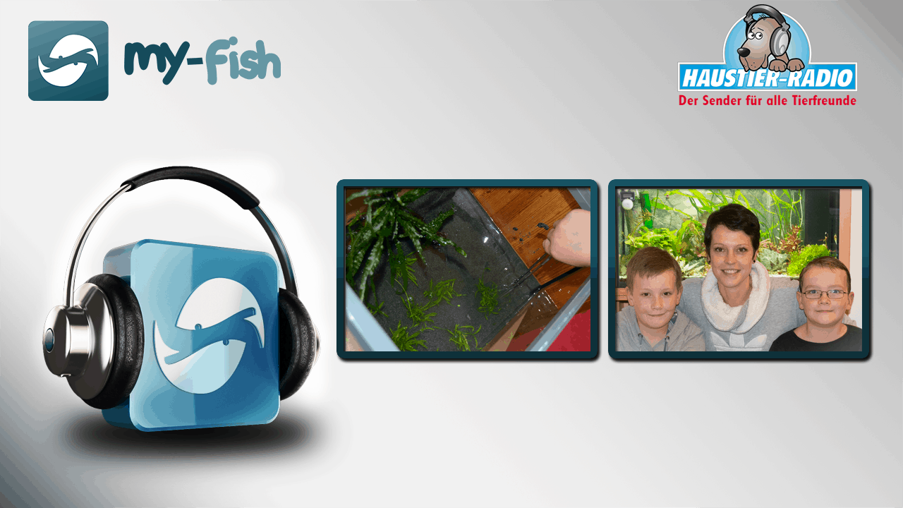 my-fish Radio: my-fish Kids - Aquaristik für Kinder (Tina Benneker)