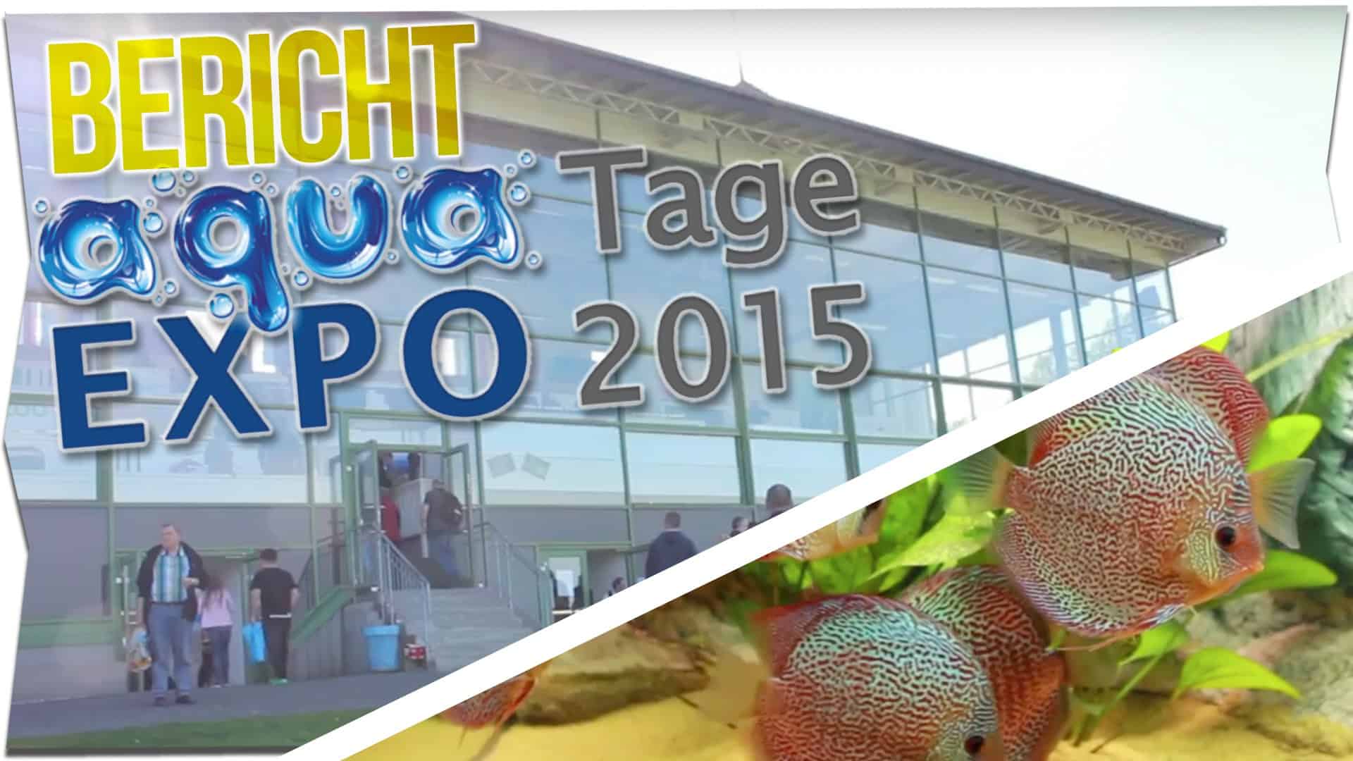 AQUA EXPO TAGE (Official Video) 2015 | MESSEBERICHT