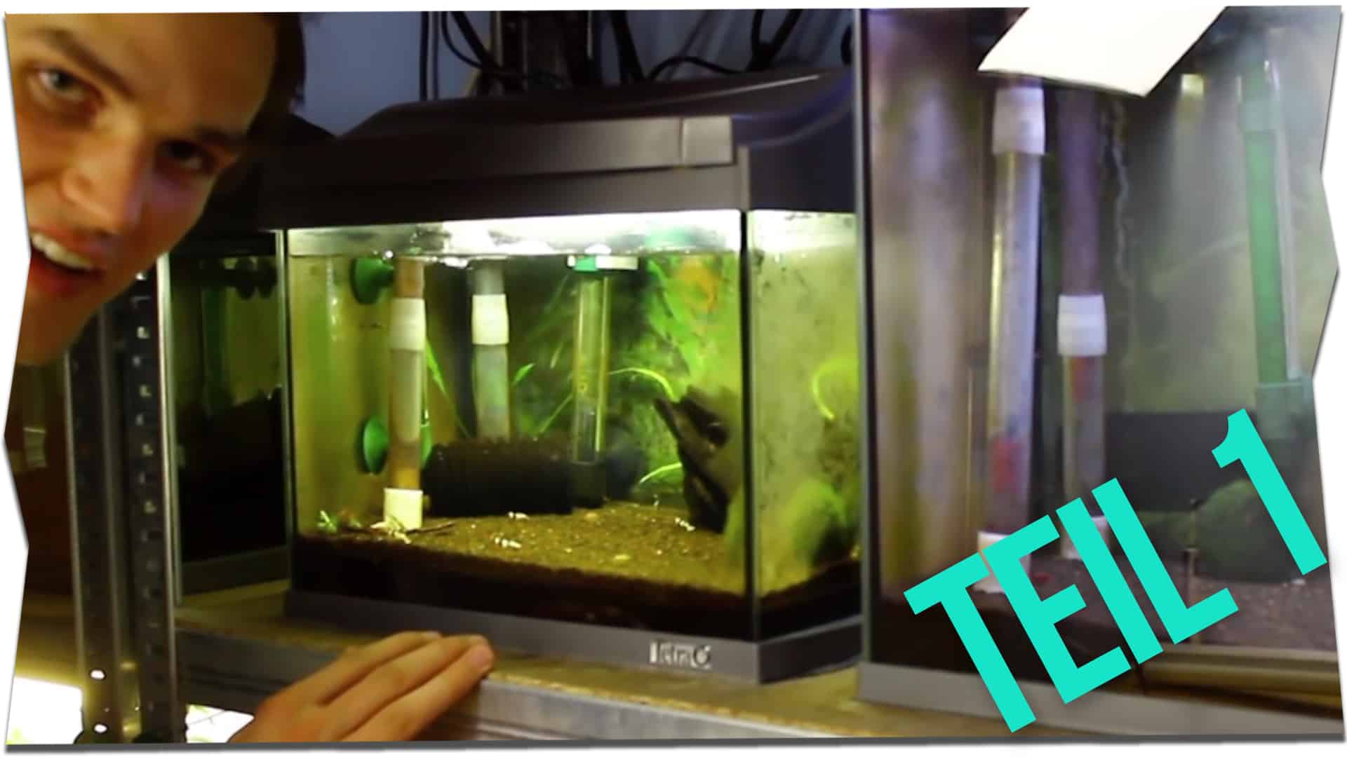 Lucas von GarnelenTV stellt seine Aquarienanlage vor (Video)
