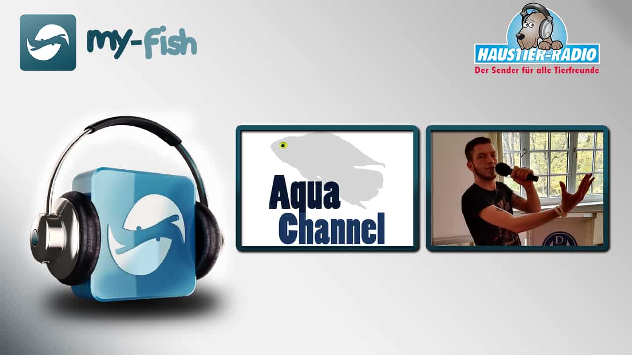 my-fish Radio: AquaChannel - Aquaristik wie sie sein sollte (Christoph Weinberger)