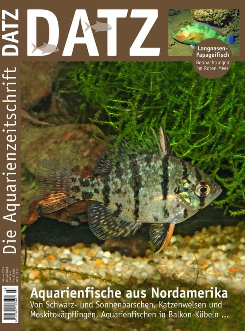 DATZ 2/2016 im Abo und unter www.datz.de