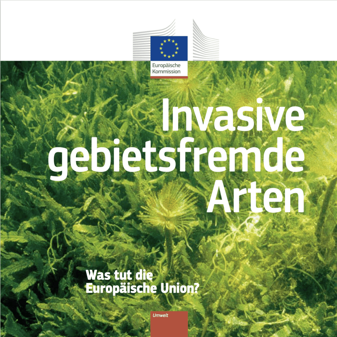 Diskussion um Invasive Arten