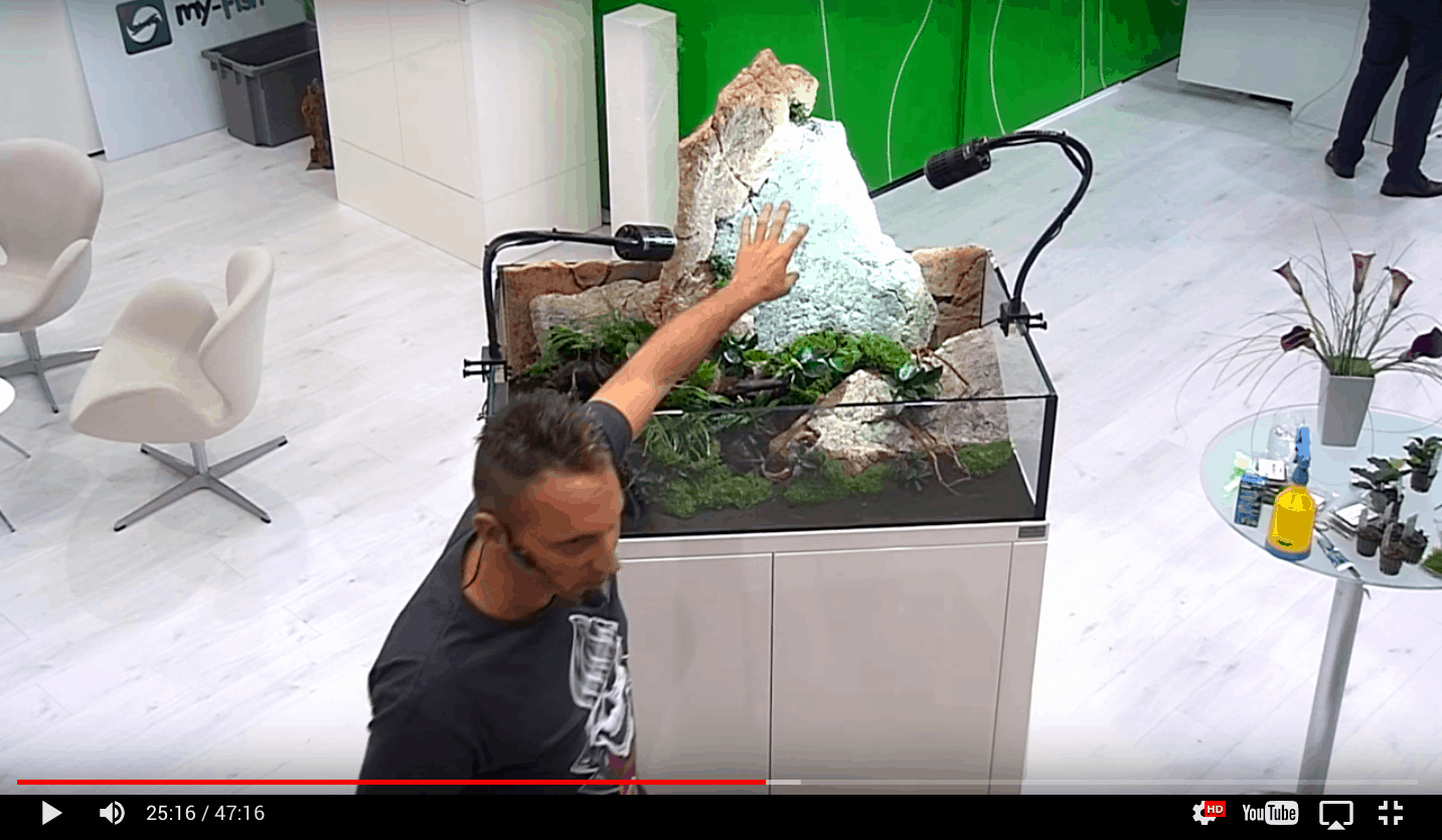 Freestyle Aquascaping Living Stone mit Oliver Knott auf der Interzoo 2016