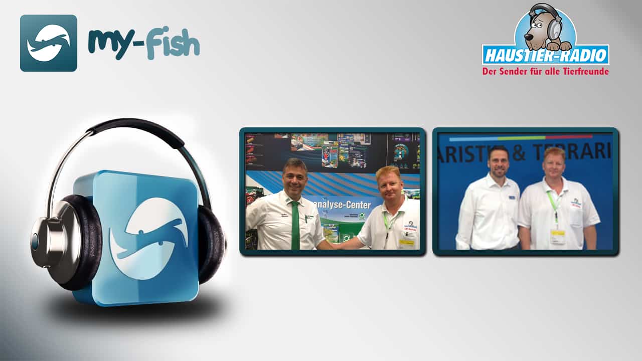 my-fish Radio: Interzoo 2016 Spezial mit JBL und Dohse Aquaristik (Blessin & Pinders)