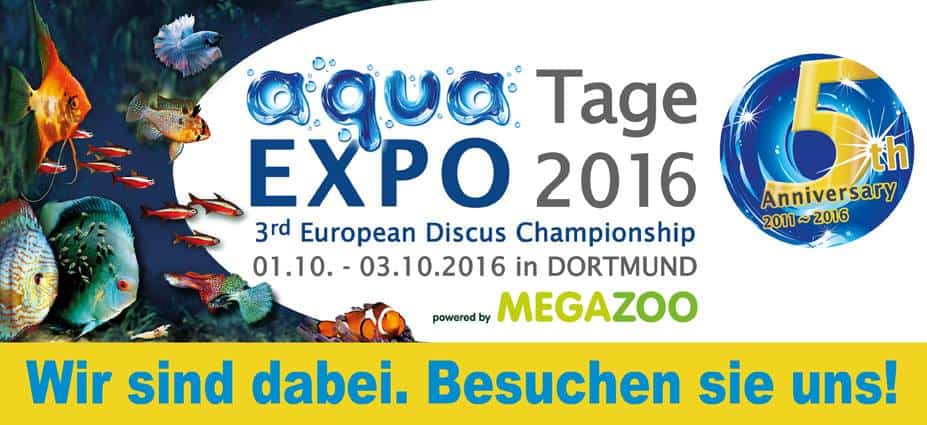 Heute: weScape Battle im Livestream von den aqua EXPO Tagen