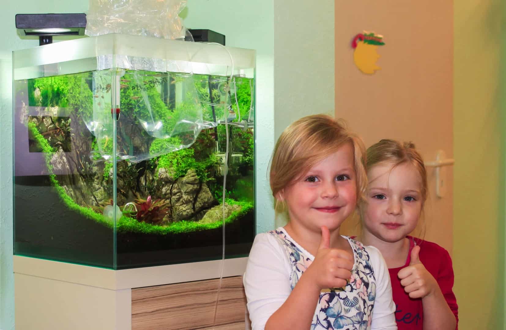 Ein Kita Aquarium de luxe