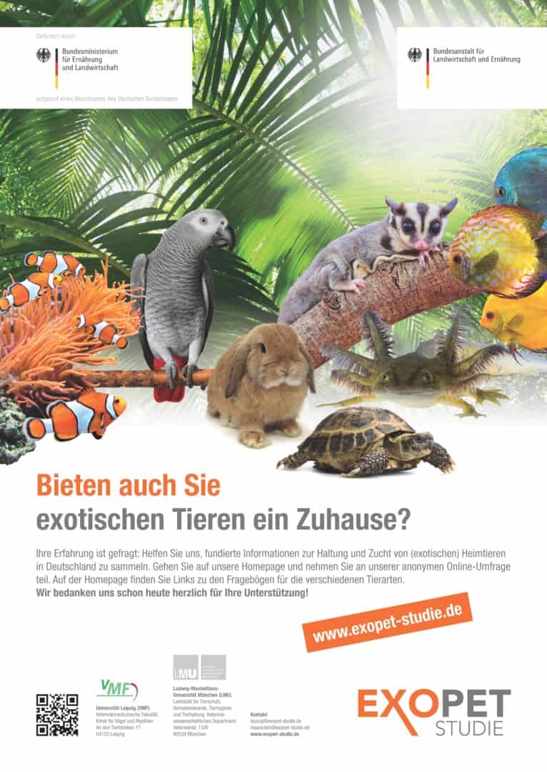 EXOPET Studie – Mitmachen und helfen