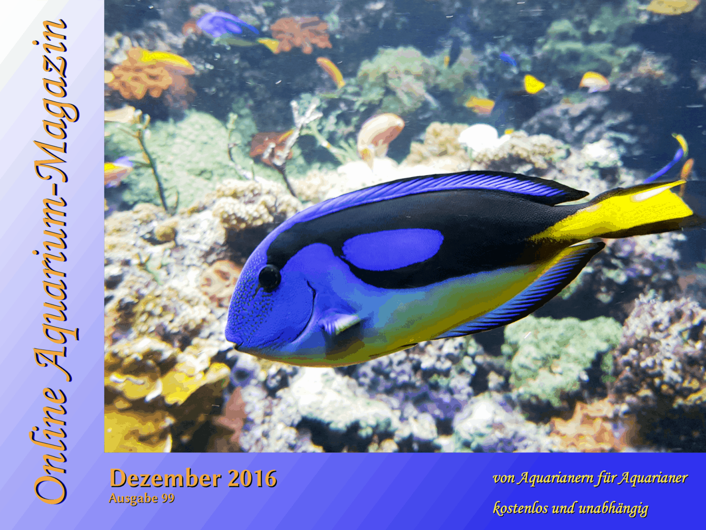 Online Aquarium Magazin Dezember 2016 erschienen