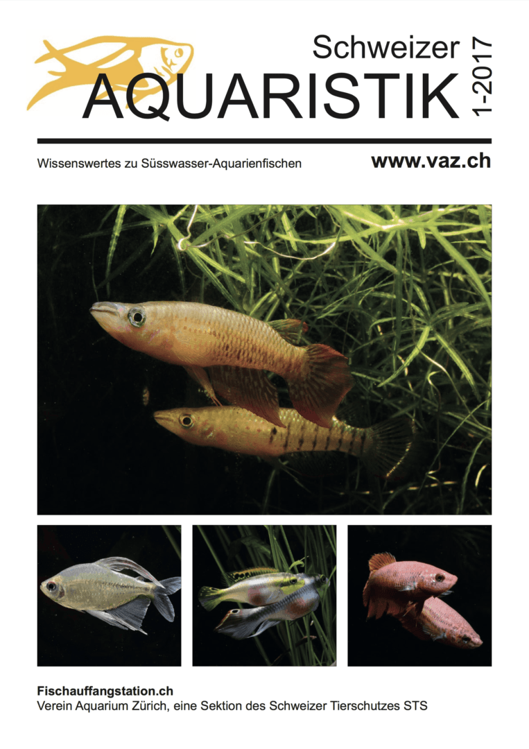 Themenheft Schweizer Aquaristik 1/2017 erschienen