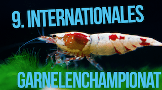 9. Internationales Garnelenchampionat
