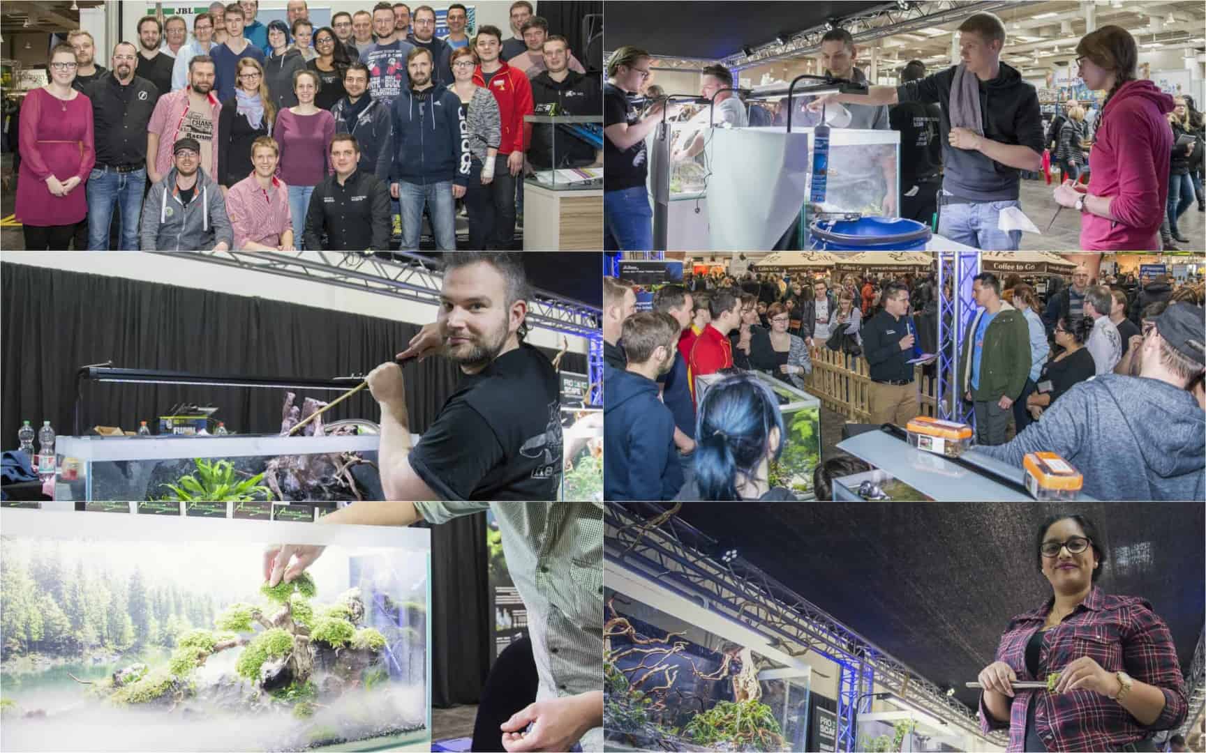 Nachbericht: Die Aquarium Design Meisterschule 2017