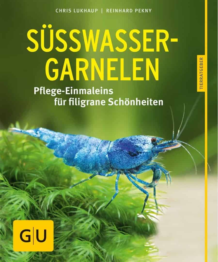 Buchtipp: Süßwasser-Garnelen – Pflege-Einmaleins für filigrane Schönheiten