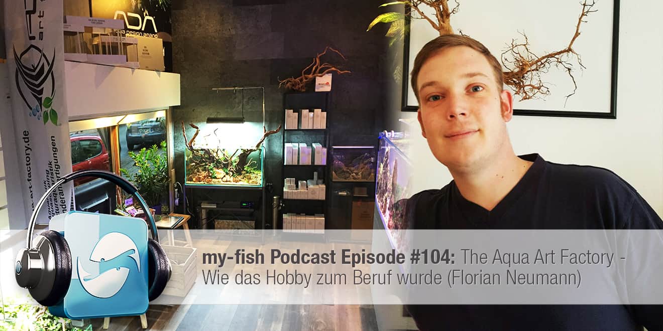 Podcast Episode #104: The Aqua Art Factory - Wie das Hobby zum Beruf wurde (Florian Neumann)