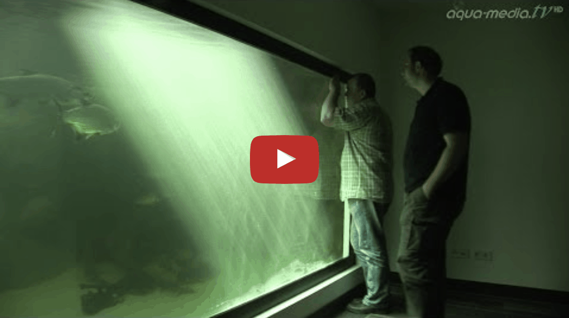 65.000 Liter Amazonas Aquarium im Wohnzimmer