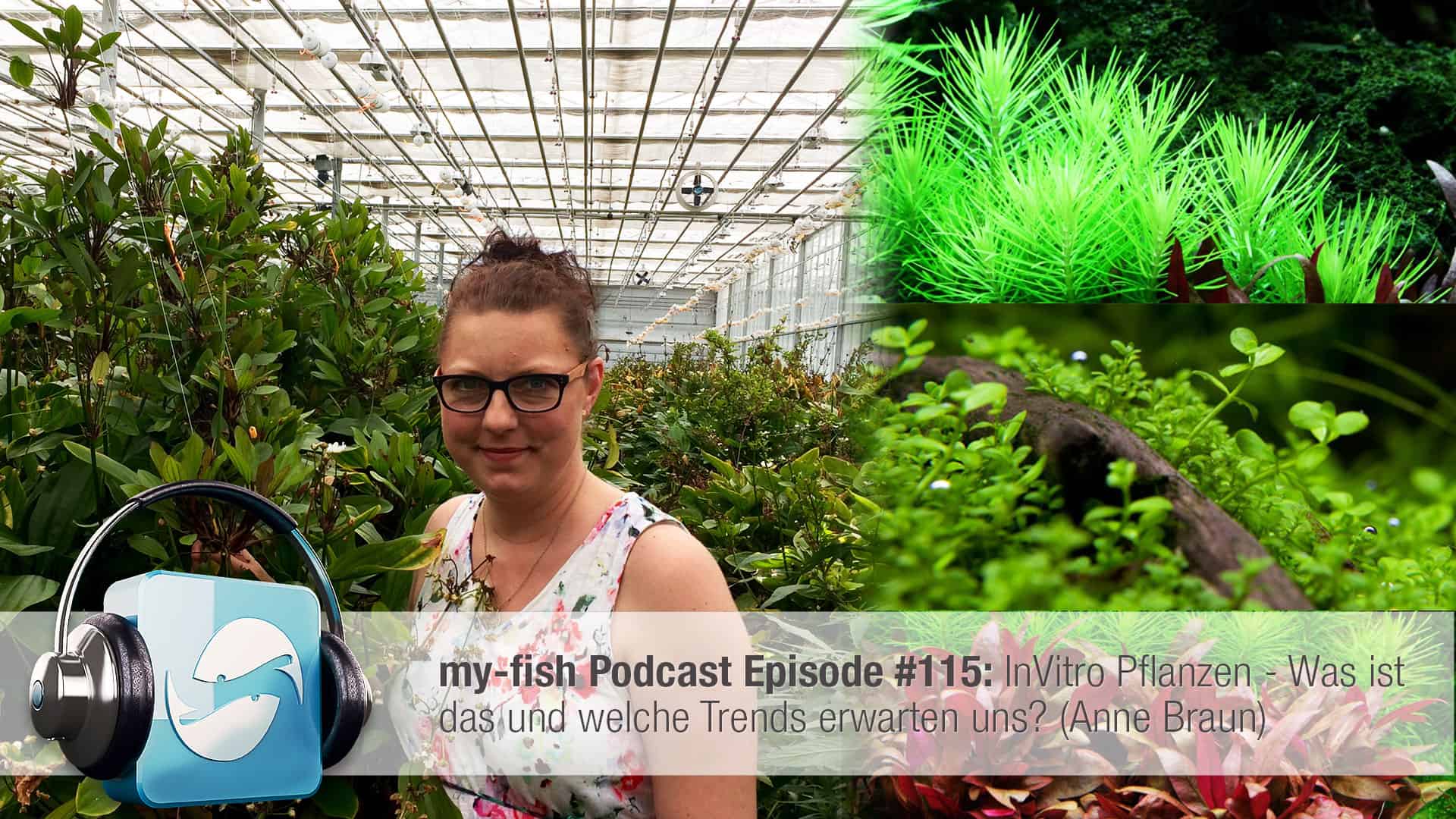 Podcast Episode #115: InVitro Pflanzen - Was ist das und welche Trends erwarten uns? (Anne Braun)
