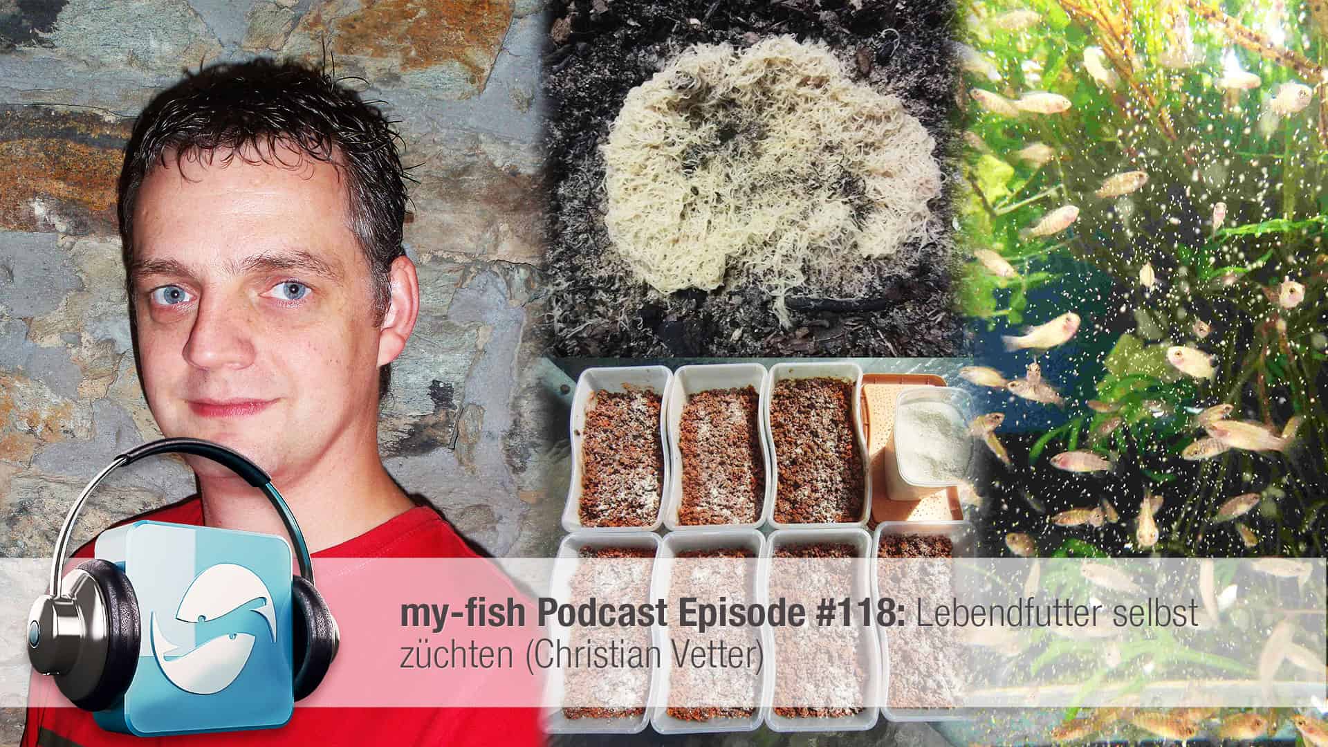 Podcast Episode #118: Lebendfutter selbst züchten (Christian Vetter)