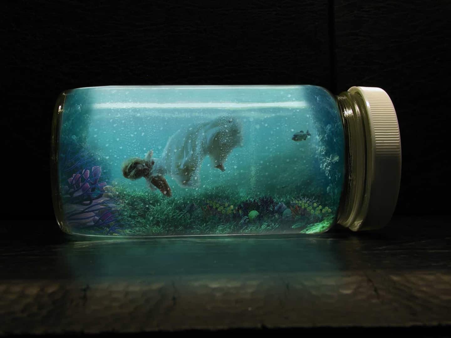 Nano Aquarium