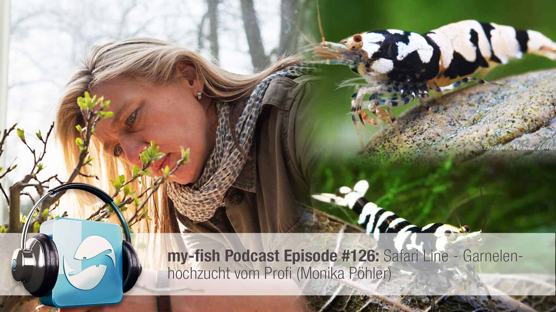 Podcast Episode #126: Safari Line - Garnelenhochzucht vom Profi (Monika Pöhler)