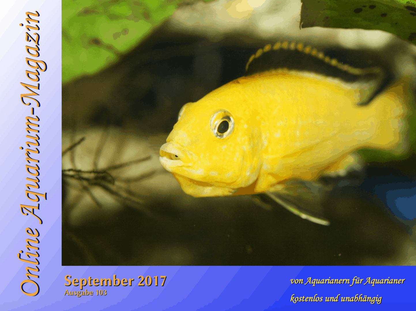 Online Aquarium-Magazin – Kostenlose Ausgabe downloaden