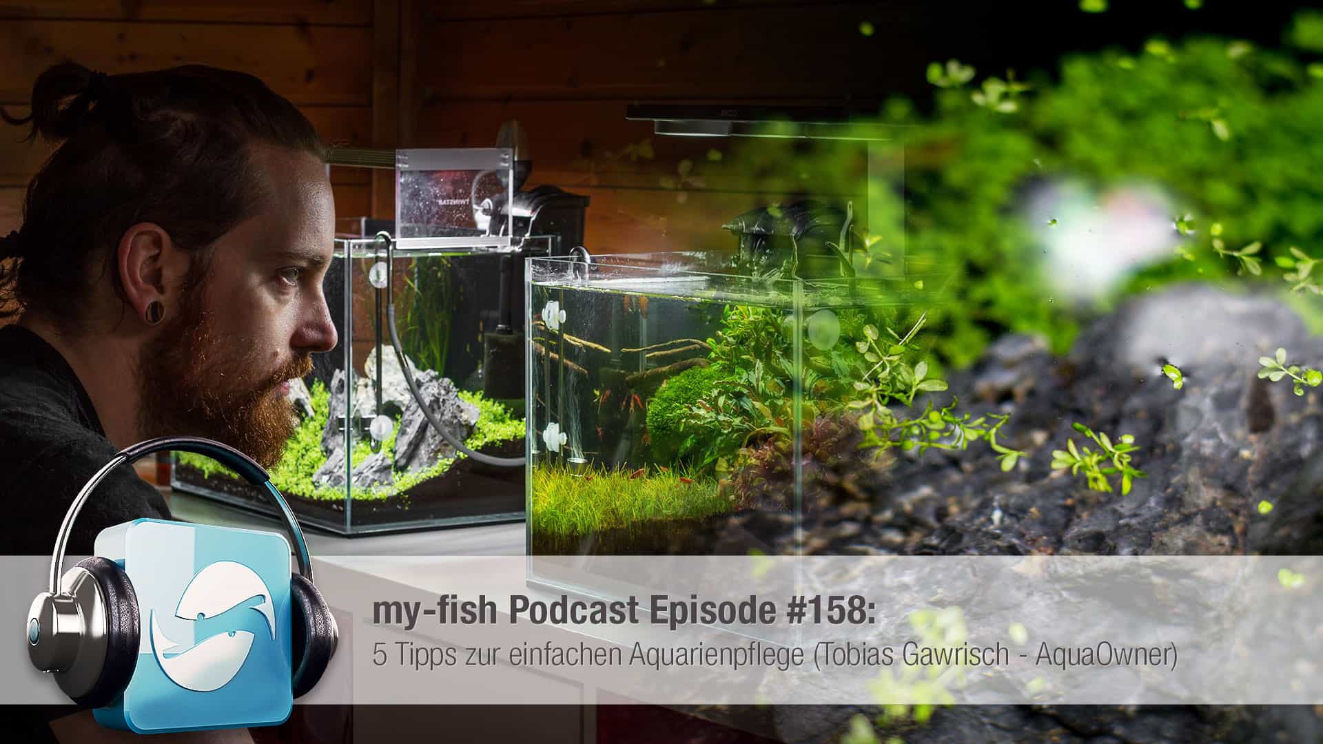 Podcast Episode #158: 5 Tipps zur einfachen Aquarienpflege (Tobias Gawrisch aka AquaOwner) 1