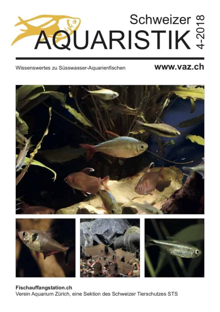 VAZ Ausgabe 4 / 2018 – kostenloses Magazin zum Download