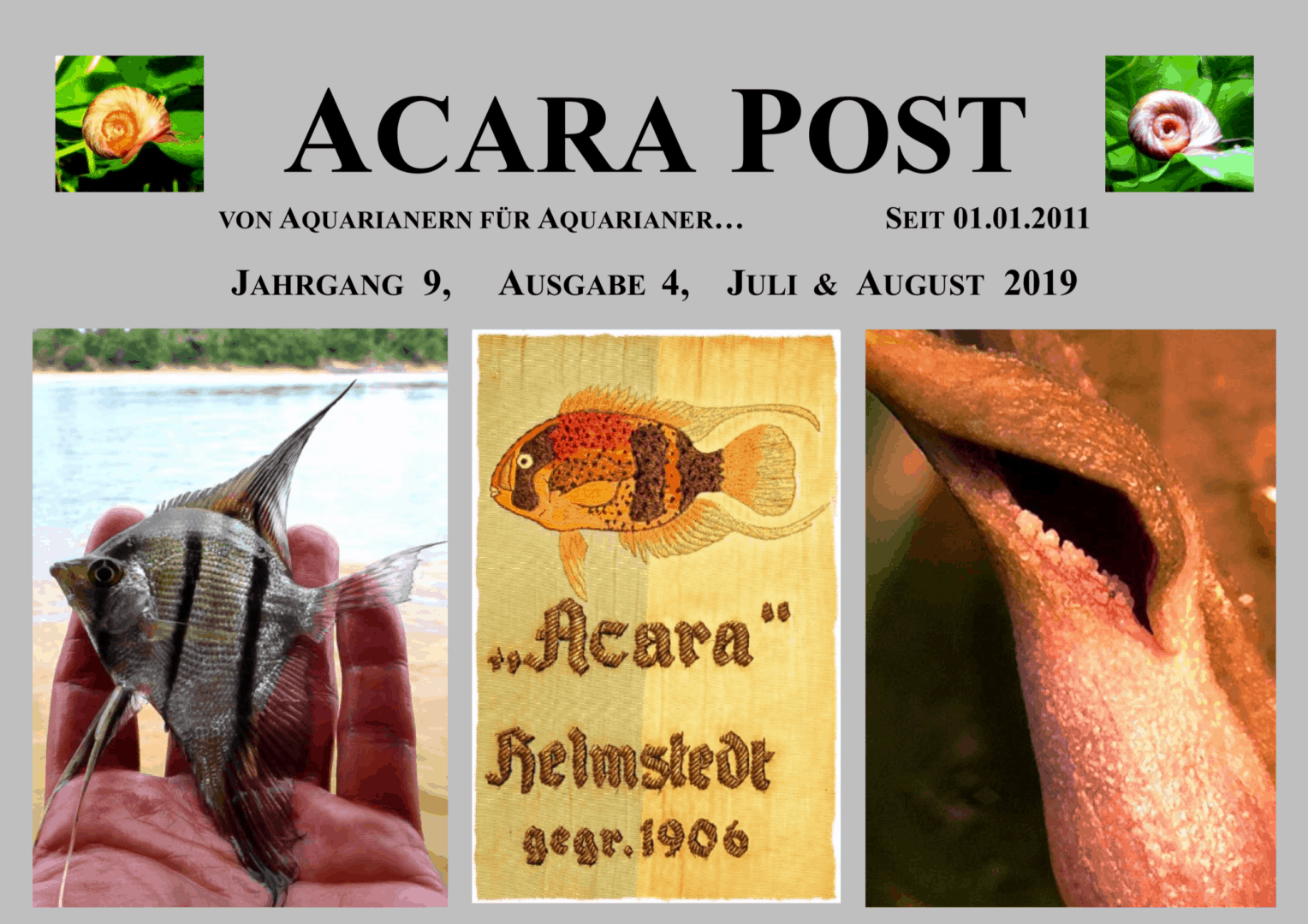 Acara-Post Juli & August 2019 – jetzt kostenlos lesen