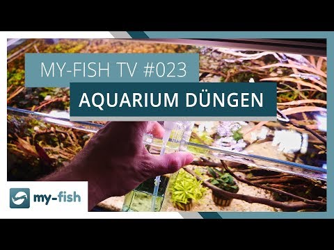 my-fish TV: So düngst du dein Aquarium