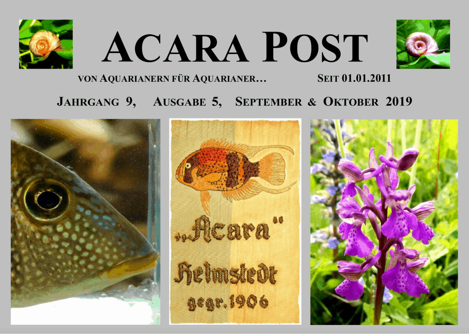 Acara-Post September & Oktober 2019 – jetzt kostenlos lesen