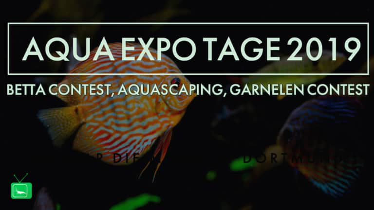 AQUA Expo Tage 2019