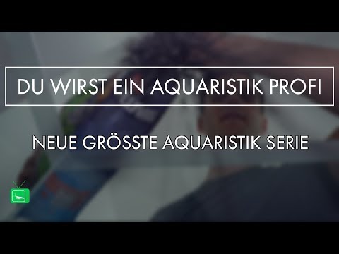Werd ein Aquaristik Profi mit GarnelenTv!