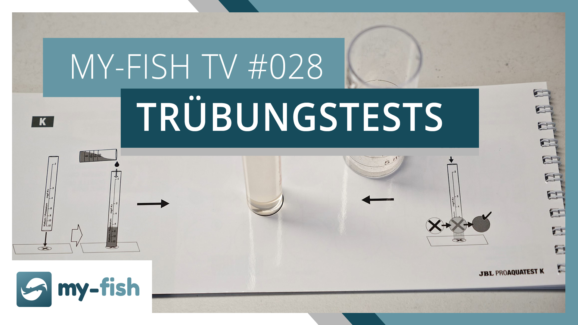 my-fish TV: Trübungstests korrekt benutzen