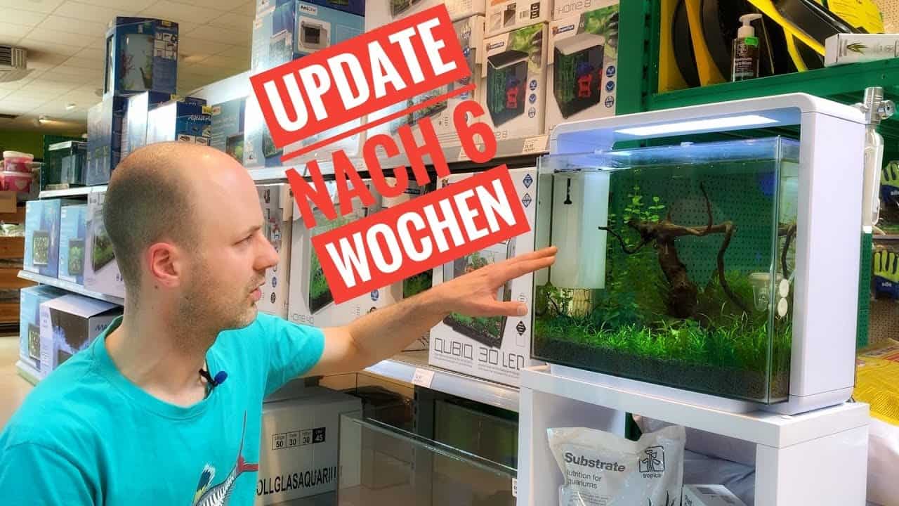 AQUaddicted! – Video Tipp: Wie geht es dem Nanoaquarium nach Einfahrphase? Update